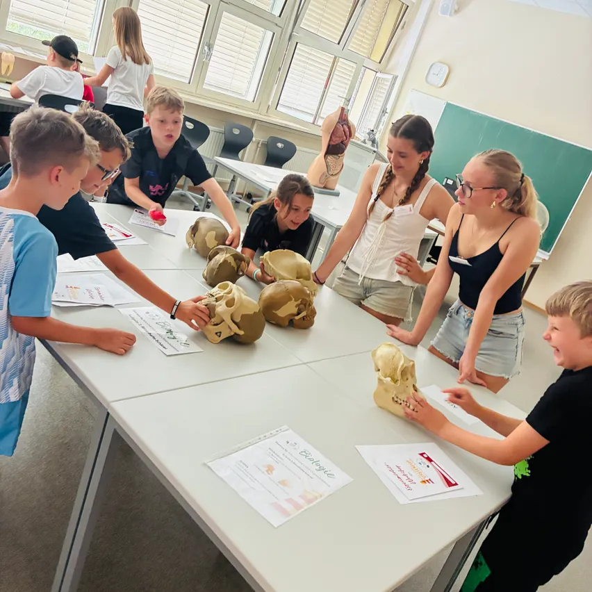 Schüler in einem Klassenzimmer versammeln sich um einen Tisch mit menschlichen Schädeln und beschäftigen sich mit einer pädagogischen Aktivität.