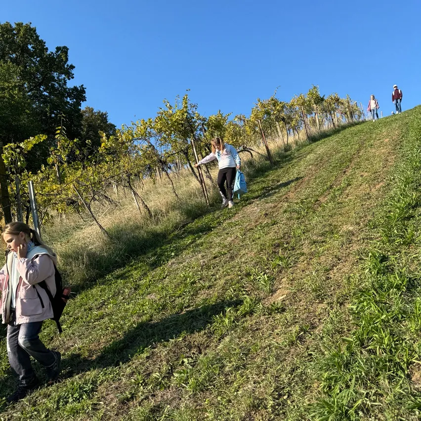 Eine Gruppe von Menschen wandert einen grasbewachsenen Hügel hinauf, mit Bäumen und Büschen an den Seiten.