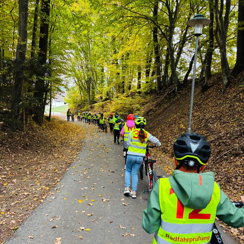 Eine Gruppe von Kindern, die Sicherheitswesten und Helme tragen, fahren mit Fahrrädern auf einem asphaltierten Weg durch einen Wald.