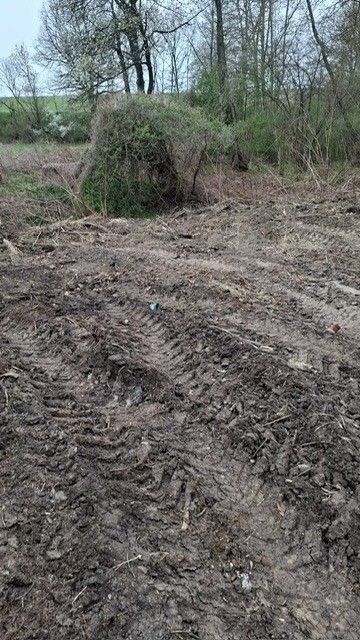 Eine schlammige Fläche mit Reifenspuren und einem kleinen Busch im Hintergrund.