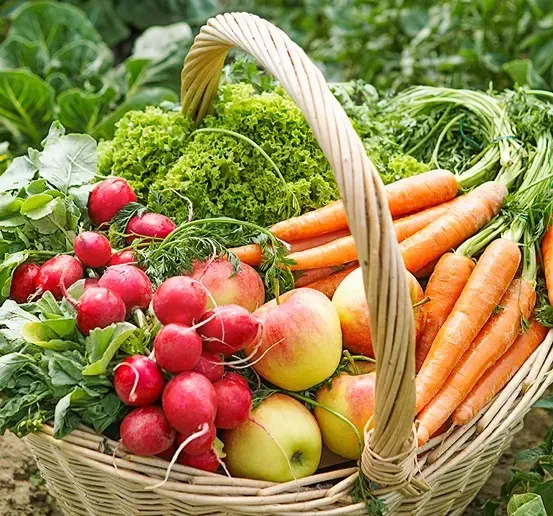 Ein Korb aus Weide gefüllt mit frischem Gemüse und Obst, darunter Karotten, Radieschen, Äpfel und Grünzeug, auf dem Boden stehend.