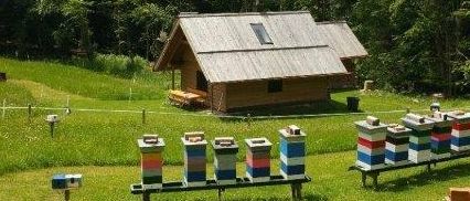 Bild enthält, Building, Outdoors, Shelter, Grass, Nature, Vegetation, Scenery, Housing, Apiary, Tree