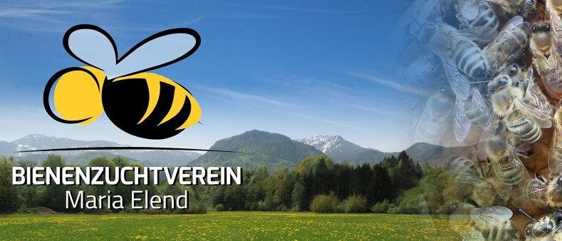 Bild enthält, Animal, Bee, Honey Bee, Insect, Invertebrate, Apidae, Wasp
