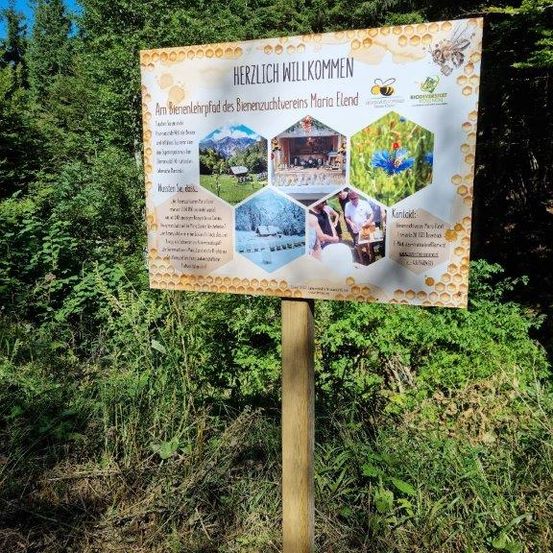 Bild enthält, Advertisement, Vegetation, Tree, Land, Nature, Outdoors, Woodland, Person, Rainforest, Grove