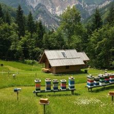 Bild enthält, Building, Outdoors, Shelter, Grass, Nature, Vegetation, Scenery, Housing, Apiary, Tree