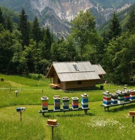 Bild enthält, Building, Outdoors, Shelter, Grass, Nature, Vegetation, Scenery, Housing, Apiary, Tree