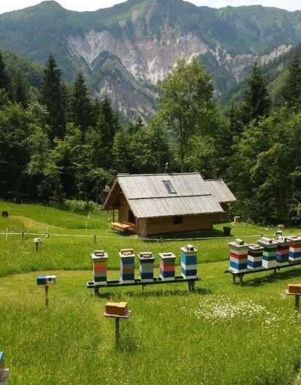 Bild enthält, Building, Outdoors, Shelter, Grass, Nature, Vegetation, Scenery, Housing, Apiary, Tree