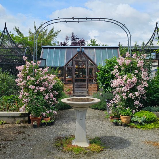 Ein Garten mit rosa Blumen, einem Vogelbad und einem Gewächshaus.
