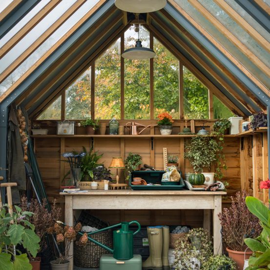 Ein Holzgewächshaus mit einem Glasdach und -wänden. Im Inneren befindet sich ein Holztisch mit verschiedenen Pflanzen, einer grünen Gießkanne und einer Lampe. Die Regale sind mit Pflanzen, Werkzeugen und Aufbewahrungsboxen gefüllt.