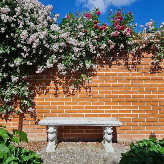 Eine Gartenbank mit Löwenstatuendsitzen, bedeckt mit Schnee, steht vor einer roten Ziegelmauer mit Kletterrosen und blauem Himmel oben.
