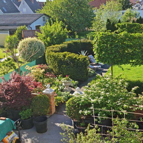 Luftaufnahme eines Gartens mit verschiedenen Pflanzen und Bäumen, einer Terrasse mit Liegestühlen und Häusern im Hintergrund.