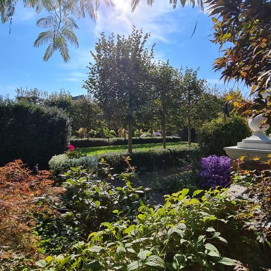 Ein Garten mit verschiedenen Pflanzen und Bäumen. Es gibt Büsche, Blumen und einen grünen Rasen.