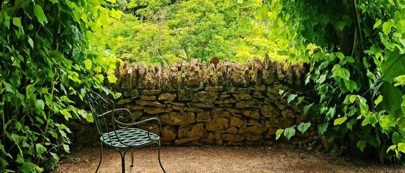 Bild enthält, Garden, Nature, Outdoors, Vegetation, Wall, Backyard, Grass, Chair, Park, Scenery