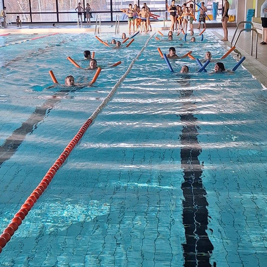 Eine Gruppe von Menschen schwimmt in einem Hallenbad und hält sich an orangefarbenen und blauen Schwimmhilfen fest.