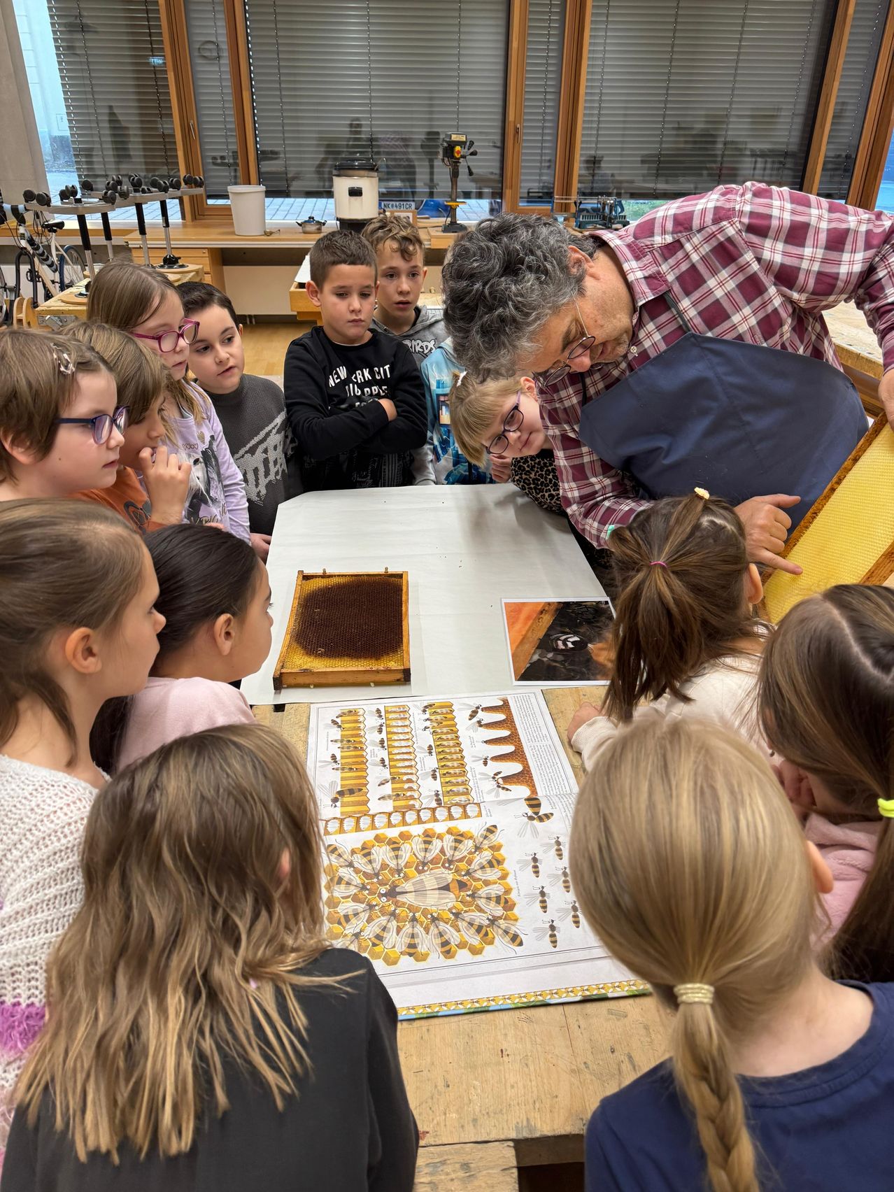 Eine Gruppe von Kindern ist um einen Tisch mit einem Imker versammelt und beobachtet ein Bienenwaben. Der Imker zeigt auf etwas, während die Kinder zusehen.