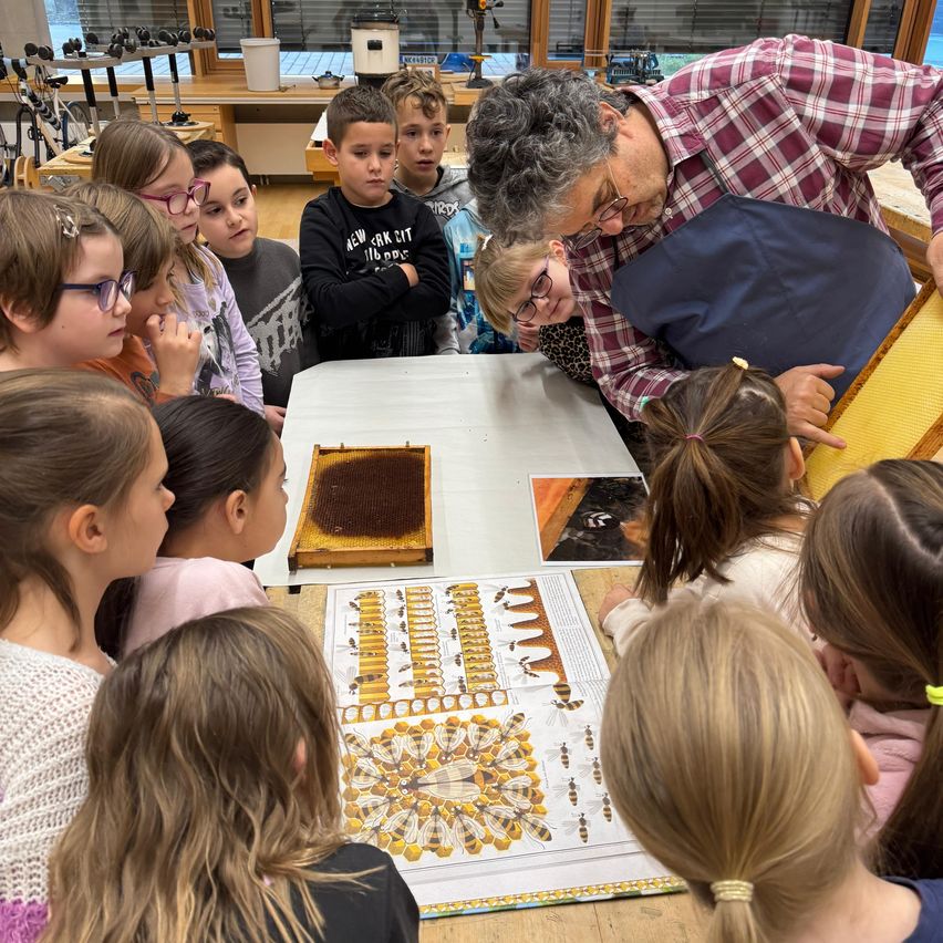 Eine Gruppe von Kindern ist um einen Tisch mit einem Imker versammelt und beobachtet ein Bienenwaben. Der Imker zeigt auf etwas, während die Kinder zusehen.