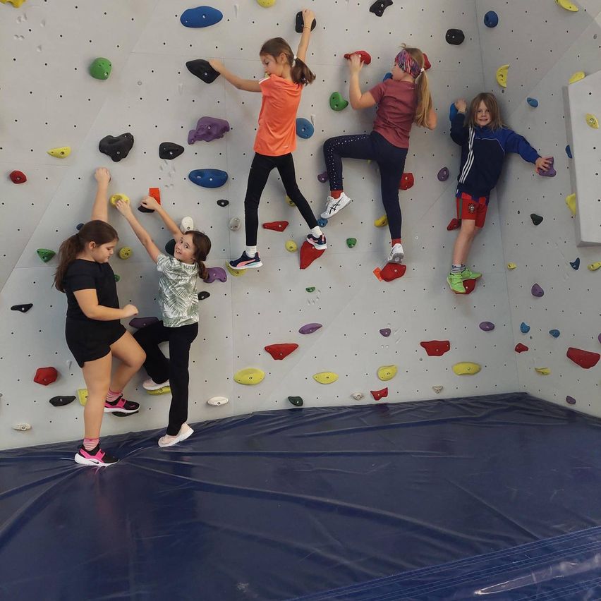 Fünf junge Mädchen klettern an einer Kletterwand mit unterschiedlich farbigen Griffen. Sie tragen Turnschuhe und einige haben Armbänder. Ein Mädchen trägt einen Pferdeschwanz.