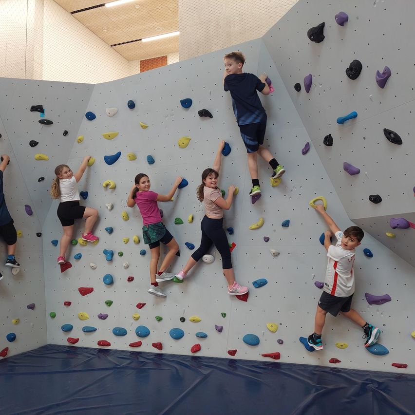 Eine Gruppe von Kindern klettert an einer bunten Kletterwand, einige mit den Händen und andere mit den Füßen. Sie tragen Turnschuhe und Shorts. Die Wand hat verschiedene farbige und geformte Griffe.