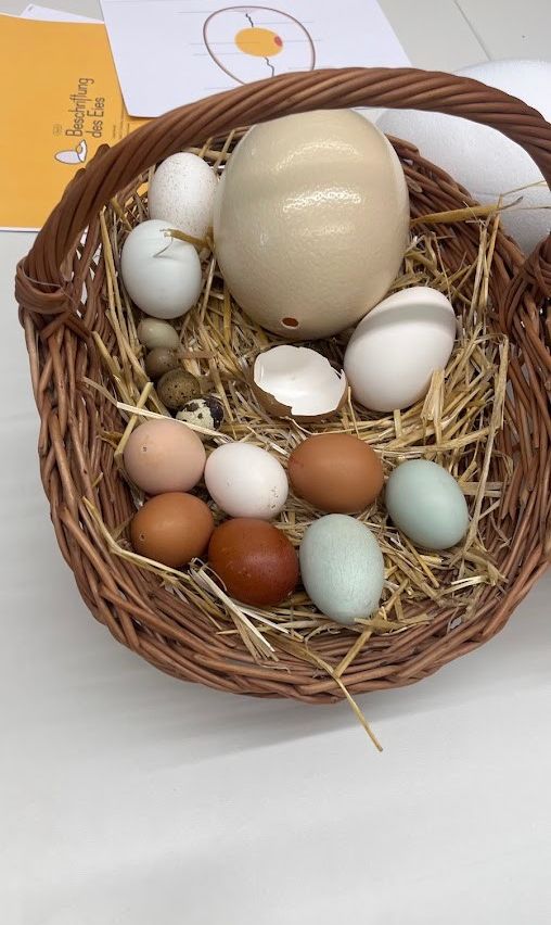 Ein Korb mit verschiedenen farbigen Eiern, einschließlich braun, weiß und blau, auf einem Heubett.