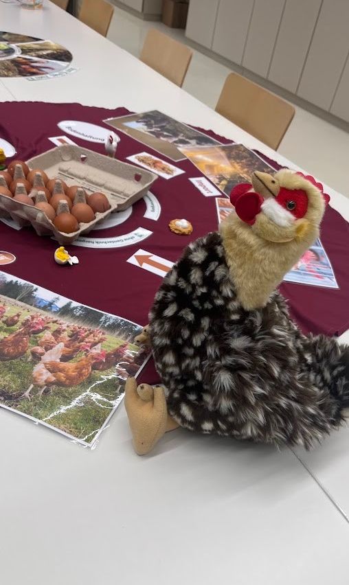 Ein Tisch mit einer Plüsch-Huhn-Spielzeug steht in einem Raum. Ein Tablett mit Eiern und ein Foto von Hühnern ist auf dem Tisch.