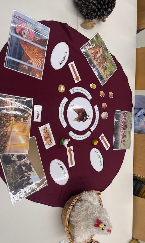 Ein Tisch mit einem runden Tuch hat verschiedene Bilder und Texte. Ein Bild zeigt ein Huhn, und der Text lautet 'Bishaltung'. Ein weiteres Bild zeigt eine Gruppe von Hühnern, und der Text lautet 'Import'. Ein Korb mit einem gefüllten Huhn ist ebenfalls vorhanden.