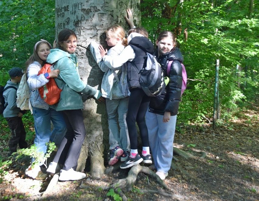 Fünf Mädchen stehen in einem Wald und umarmen einen Baum. Sie tragen Jacken, Hosen und Turnschuhe. Das Mädchen auf der linken Seite trägt eine Brille und eine Uhr.