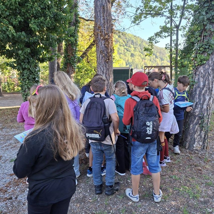 Eine Gruppe von Kindern und Erwachsenen versammelt sich in einem Waldgebiet, möglicherweise auf einer Exkursion. Sie betrachten einen Baumstamm mit darauf geschriebenem Text. Die Kinder tragen Rucksäcke und Turnschuhe.