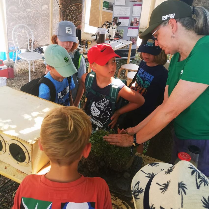 Eine Frau und mehrere Kinder stehen um einen Kasten mit Pflanzen auf einem Tisch unter einem Zelt. Die Kinder tragen Mützen und Rucksäcke.
