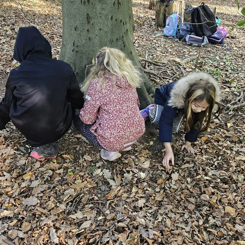 Drei Kinder knien auf dem Boden im Wald und suchen nach etwas in den Blättern.