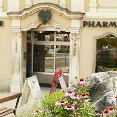 Bild enthält, Plant, Potted Plant, Shop, Shopping Mall, City, Flower