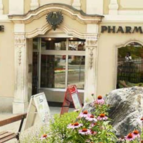 Bild enthält, Plant, Potted Plant, Shop, Shopping Mall, City, Flower