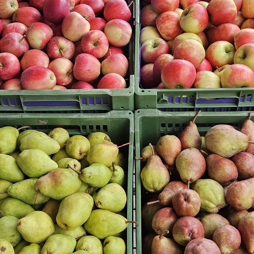 Four green crates filled with fresh fruits: two with red apples and two with green pears.
