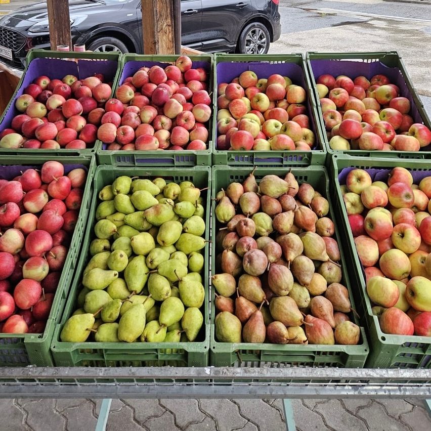 Multiple green crates filled with red apples and green pears are arranged on a metal cart in an outdoor setting. A black car is parked nearby.