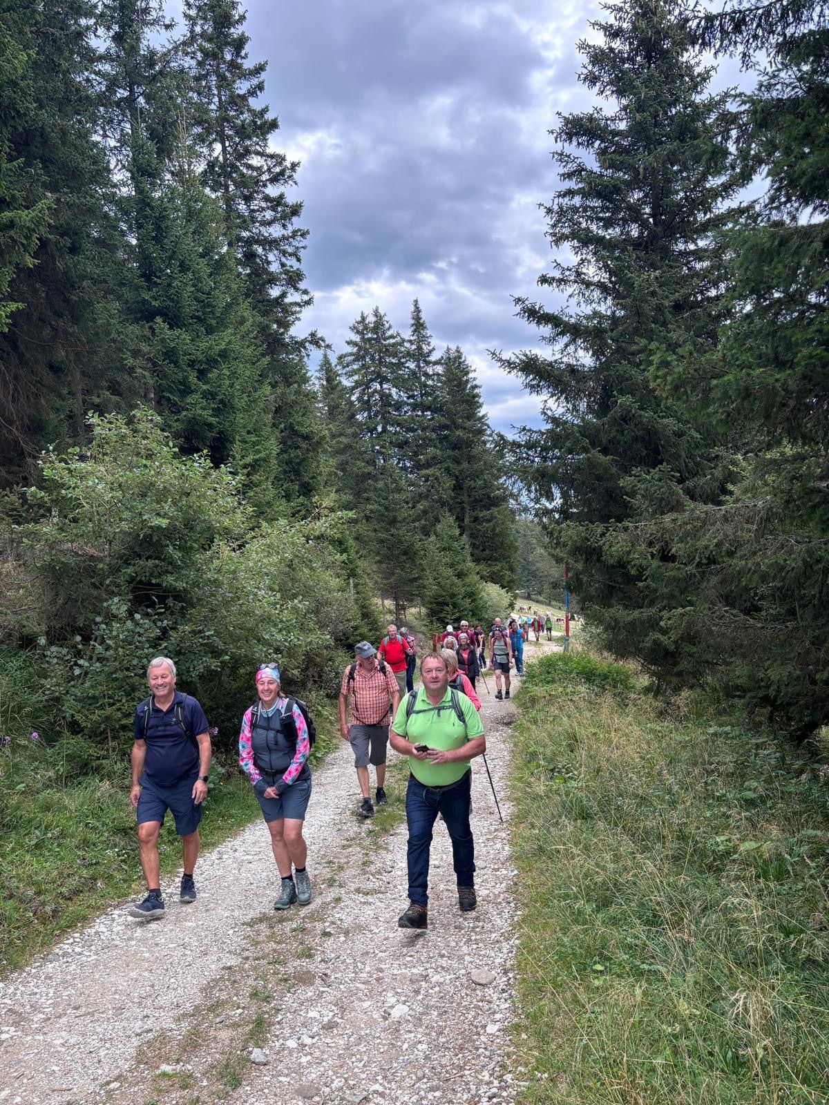 Eine Gruppe von Wanderern, die auf einem Schotterweg in einem Wald unterwegs sind, umgeben von hohen Bäumen und Grün.