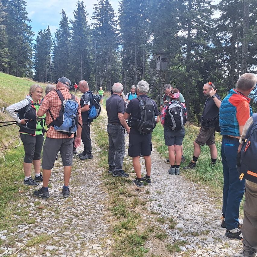 Eine Gruppe von Wanderern auf einem Bergpfad, einige mit Rucksäcken, andere ohne, alle blicken nach vorne. Hohe Bäume säumen den Weg, und eine Holzstruktur ist in der Ferne zu sehen.
