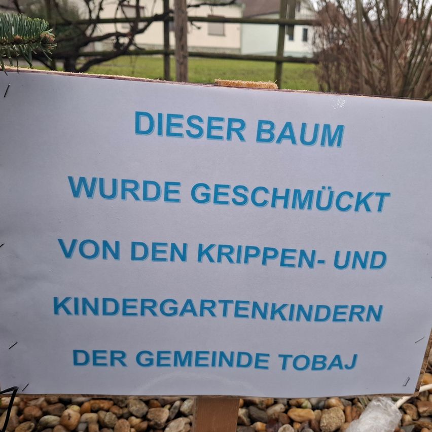 Ein Schild informiert, dass der Baum von den Krippen- und Kindergartenkindern der Gemeinde Tobaj gepflanzt wurde.