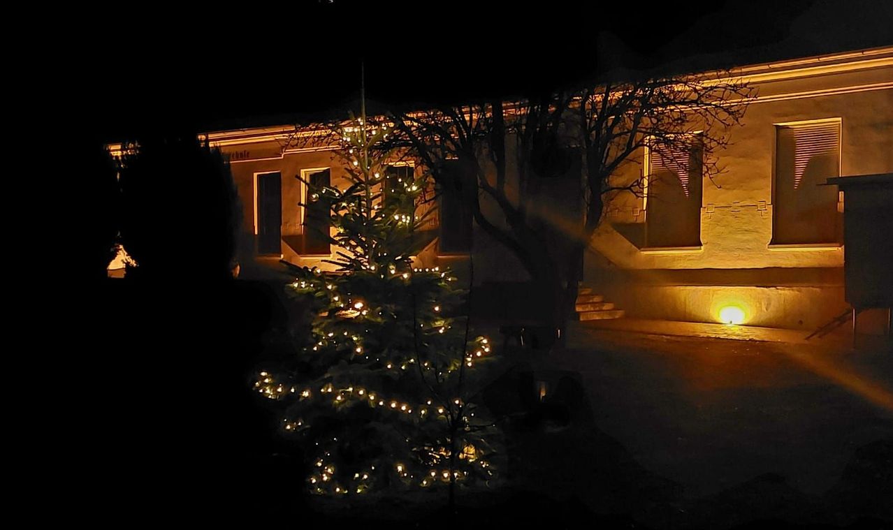 Ein hell beleuchteter Weihnachtsbaum steht vor einem warm beleuchteten Haus in der Nacht. Der Baum ist mit Lichtern geschmückt, die ein festliches Leuchten verbreiten.