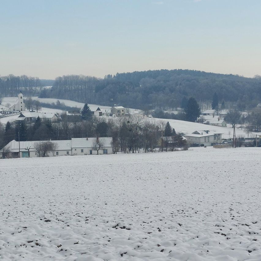 Eine verschneite Landschaft mit Häusern, Bäumen und einer Kirche in der Ferne. Der Himmel ist klar.