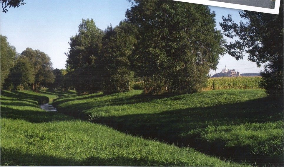 Eine friedliche Landschaft mit einem schmalen Bach, der durch ein üppiges, grünes Feld fließt, gesäumt von Bäumen und Büschen. Im Hintergrund ein Maisfeld und ein kleiner Hügel mit Gebäuden.