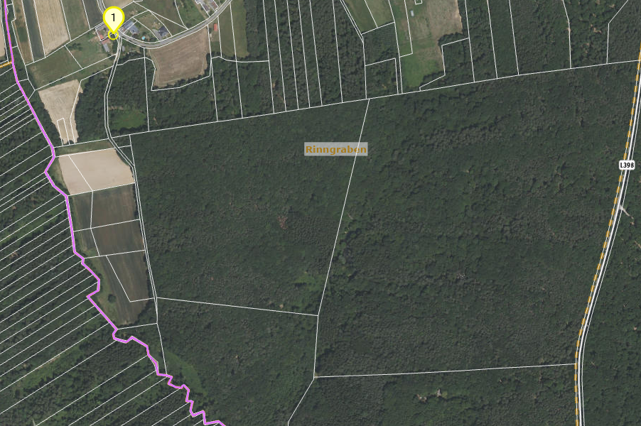 Eine Luftaufnahme eines ländlichen Gebiets mit verschiedenen Parzellen, darunter ein Waldgebiet namens Ringgraben. Das Gebiet hat eine Mischung aus landwirtschaftlichen Flächen und natürlicher Vegetation.