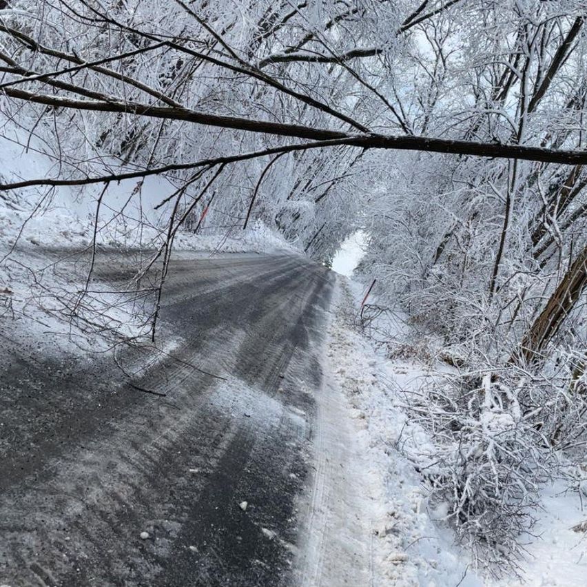 Eine verschneite Straße mit vereisten Bäumen an den Seiten, einem umgestürzten Ast quer über den Weg und einer schwachen Sicht auf eine Straße vor uns.