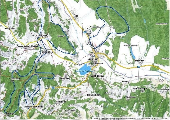 Die Karte zeigt die Region Güssing in Österreich und hebt verschiedene Städte, Straßen und Naturmerkmale wie Seen und Berge hervor. Bemerkenswerte Gebiete sind Güssing, Obersdorf und Füchsberg.