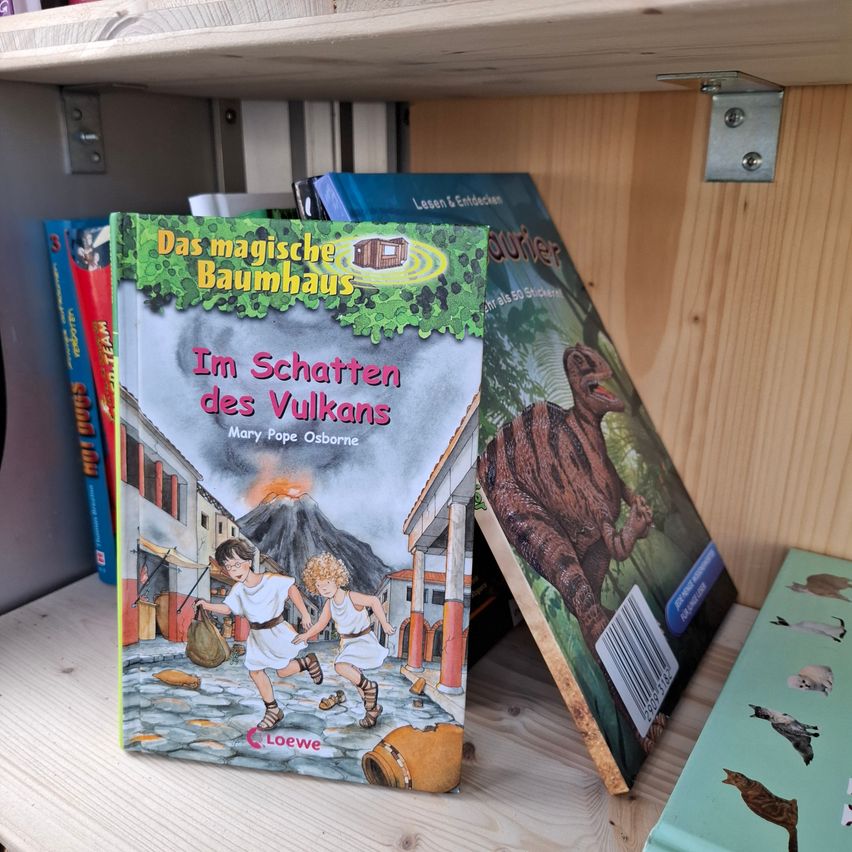 Ein Buch mit dem Titel 'Im Schatten des Vulkans' von Mary Pope Osborne, das zwei Kinder vor einem Vulkan zeigt, steht auf einem Holzregal mit anderen Büchern.