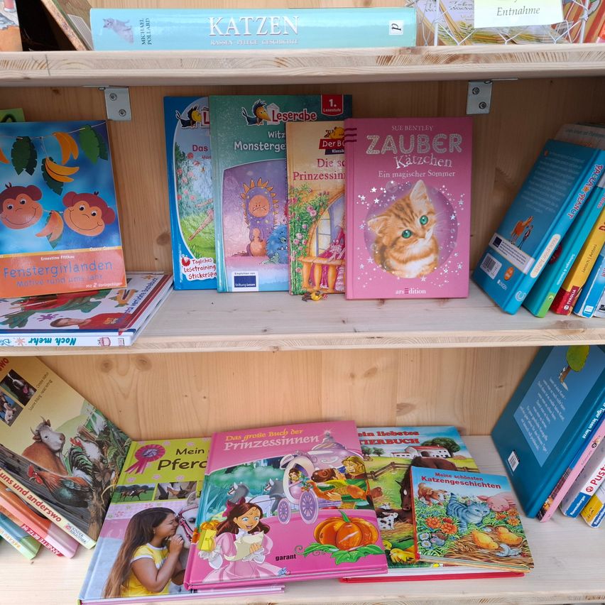 Ein hölzerne Bücherregal gefüllt mit Kinderbüchern, einschließlich Titel wie 'Fenstergärtlein', 'Leserabe' und 'Zauber Katzen'. Die Bücher sind bunt und haben verschiedene Illustrationen.