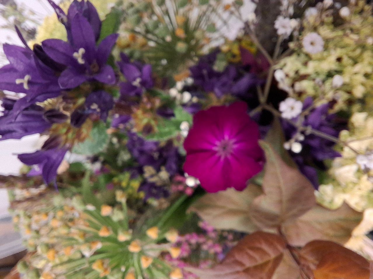 Ein Nahaufnahme einer Blumenarrangement zeigt lila Blumen, einige mit gelben Zentren, und verschiedene grüne Blätter. Eine prominente pinke Blume mit einem dunklen Zentrum steht in der Mitte.