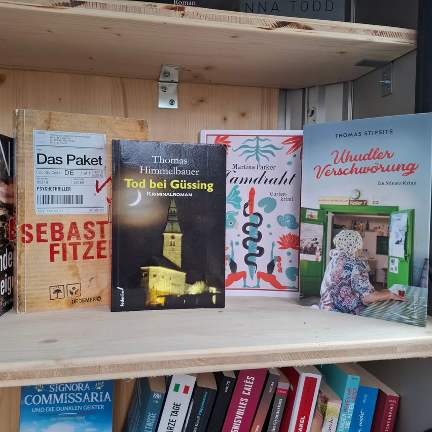 Ein Holzregal mit verschiedenen Büchern. In der obersten Reihe befinden sich 'Das Paket' von Sebast Fitze, 'Tod bei Güssing' von Thomas Himmelbauer und 'Uhudler Verschwörung' von Thomas Stipits. In der unteren Reihe stehen Bücher mit Titeln wie 'Signora Commissaria' und 'Junge Frauen'.