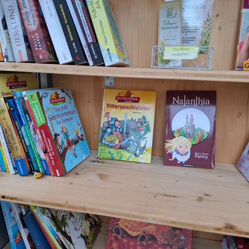 Ein Holzregal gefüllt mit verschiedenen Büchern, darunter Kinderbücher und einige Erwachsenenbücher. Die Bücher sind ordentlich angeordnet, einige stehen aufrecht, während andere flach liegen.
