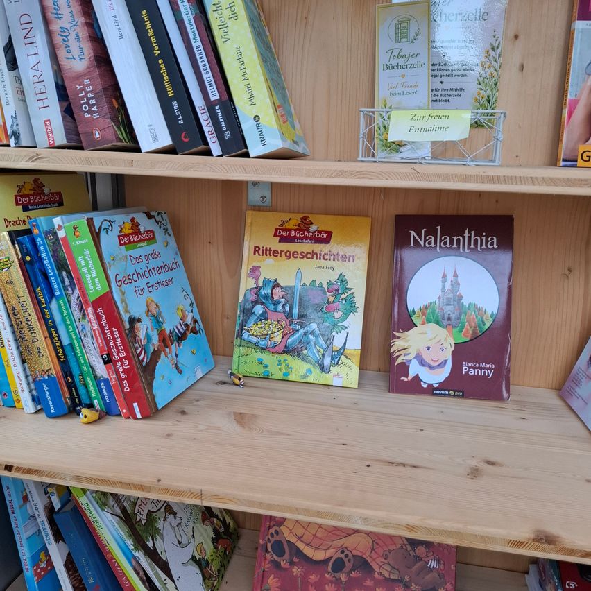 Ein Holzregal gefüllt mit verschiedenen Büchern, darunter Kinderbücher und einige Erwachsenenbücher. Die Bücher sind ordentlich angeordnet, einige stehen aufrecht, während andere flach liegen.