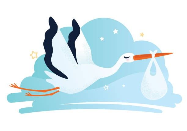 Eine Illustration eines Storchs, der ein Baby in einer Tasche trägt und durch einen Sternenhimmel fliegt.