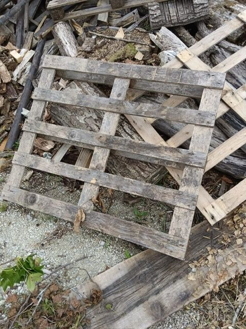 Ein Haufen zerbrochener Holzpaletten und Baumstämme liegt auf dem Boden.